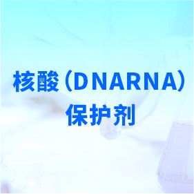 核酸（DNARNA）保護(hù)劑
